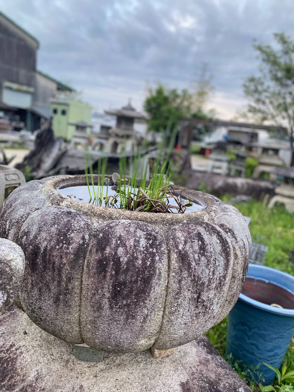 三重県三重郡菰野町の伊藤石材店手作り灯籠 聖・水鉢（せい・みずばち）　菊型